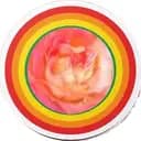 Vixxen